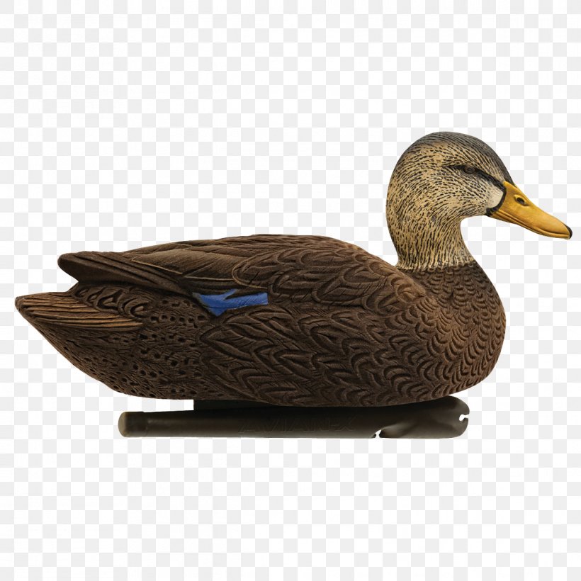 Mallard Duck Decoy Duck Call, PNG, 1218x1218px, Mallard, American Black Duck, Anseriformes, Beak, Bird Download Free