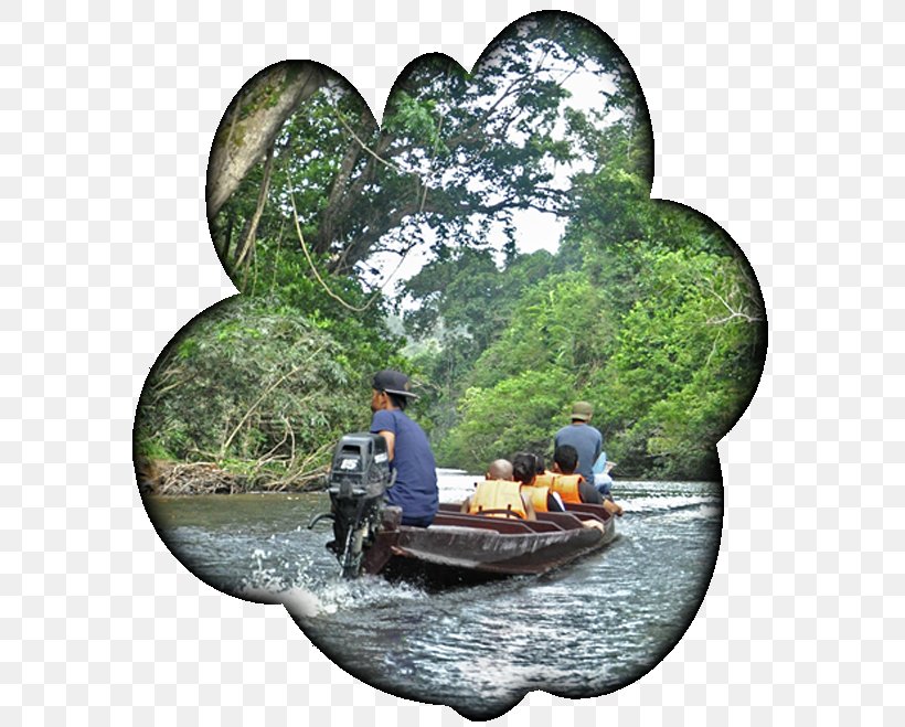 Water Transportation Water Resources River Tree, PNG, 600x659px, Water Transportation, Boat, Natural Resource, River, Tourism Download Free