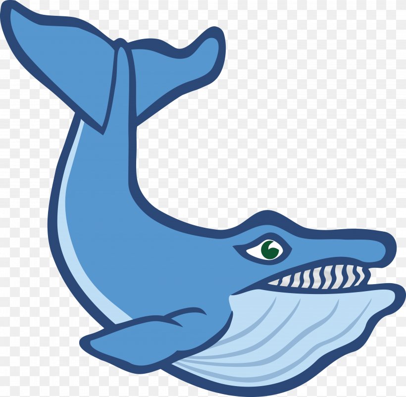Blue Whale Killer Whale Clip Art, PNG, 4000x3914px, Whale, Blue Whale, Cartilaginous Fish, Cartoon, Color Download Free