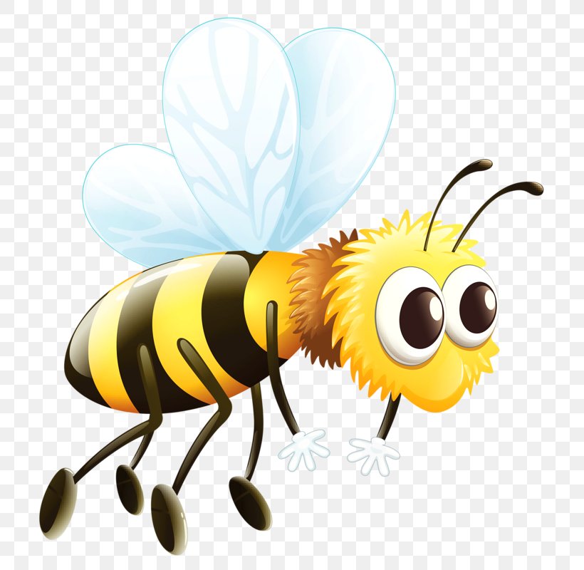 Western Honey Bee Worker Bee Queen Bee, PNG, 791x800px, Bee, Arthropod, Cartoon, Drawing, Drone Download Free