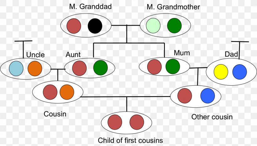 Cigosidade Allele Inbreeding Genetics Biology, PNG, 1319x750px, Cigosidade, Allele, Area, Biology, Brand Download Free