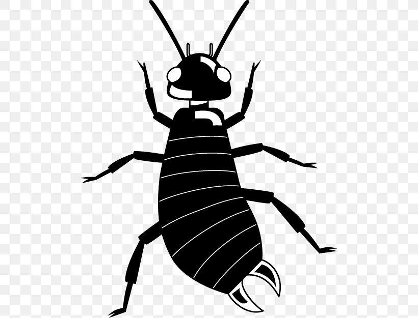 Fly Clip Art Insect Ant Arthropod, PNG, 504x625px, Fly, Animal, Ant, Aphid, Arthropod Download Free
