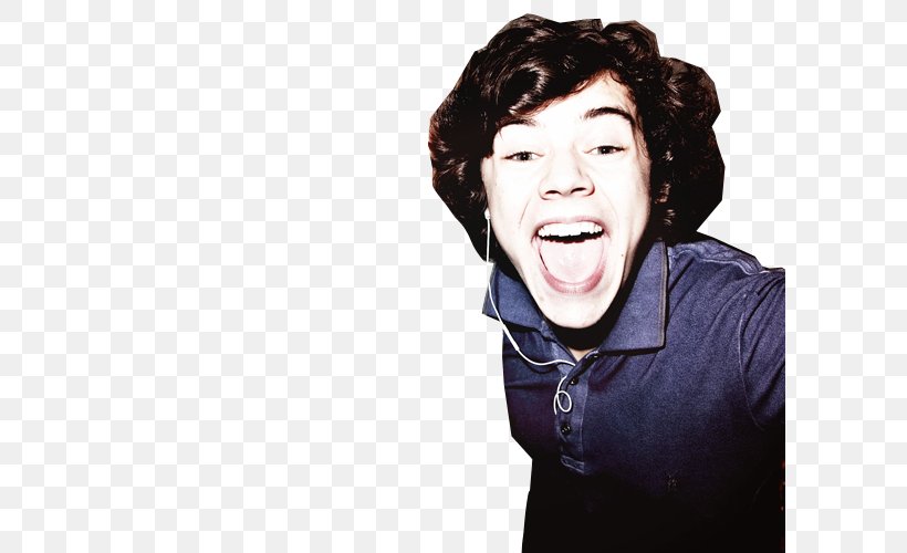 Harry Styles One Direction, PNG, 600x500px, Watercolor, Cartoon, Flower, Frame, Heart Download Free