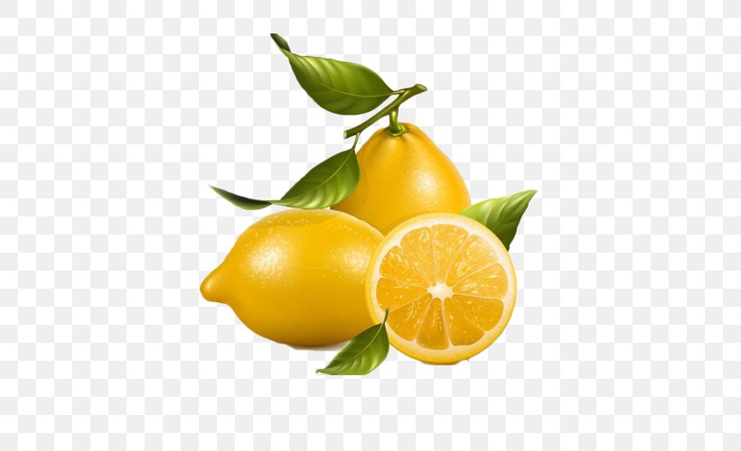 Lemonade Fruit Royalty-free Clip Art, PNG, 500x500px, Lemon, Bitter Orange, Calamondin, Chenpi, Citric Acid Download Free