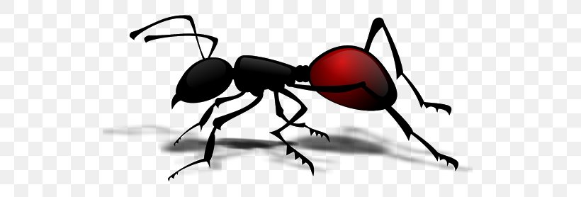 Queen Ant Insect Clip Art, PNG, 530x278px, Ant, Army Ant, Arthropod, Artwork, Black And White Download Free