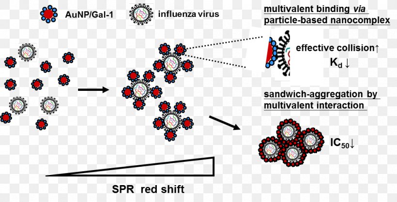 Virus Nanoparticle Gripiviirused Kultananopartikkeli Influenza, PNG, 1053x538px, Virus, Antiviral Drug, Auto Part, Body Jewelry, Diagram Download Free