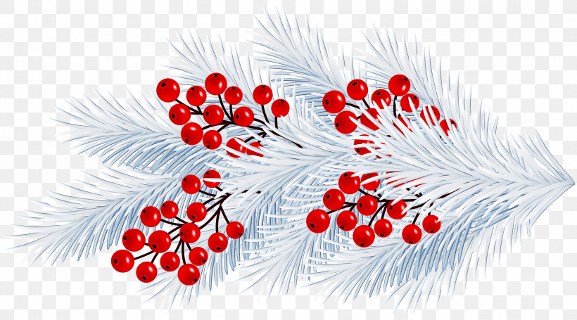 Feather, PNG, 3000x1667px, Red, Branch, Feather, Flower, Holly Download Free