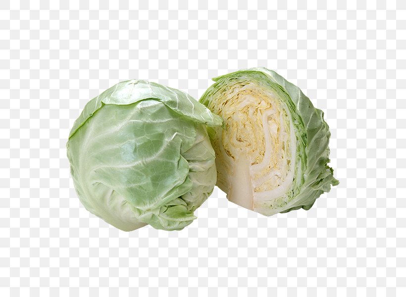 German Cuisine Coleslaw Capitata Group, PNG, 600x600px, German Cuisine, Cabbage, Capitata Group, Cauliflower, Coleslaw Download Free