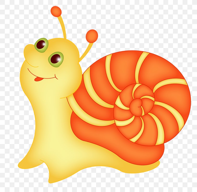 The Snail Cartoon Little Snail Drawing, PNG, 800x800px, Snail, Animal, Butterfly, Cartoon, Drawing Download Free