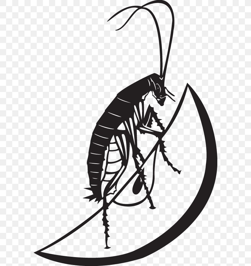 Clip Art Cockroach Insect Illustration Photography, PNG, 600x868px, Cockroach, Art, Artwork, Black And White, Blattodea Download Free
