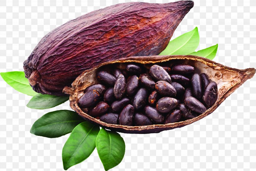 Criollo Cocoa Bean Cocoa Solids Trinitario Chocolate Liquor, PNG, 3780x2527px, Criollo, Baking Chocolate, Bean, Chocolate, Chocolate Liquor Download Free