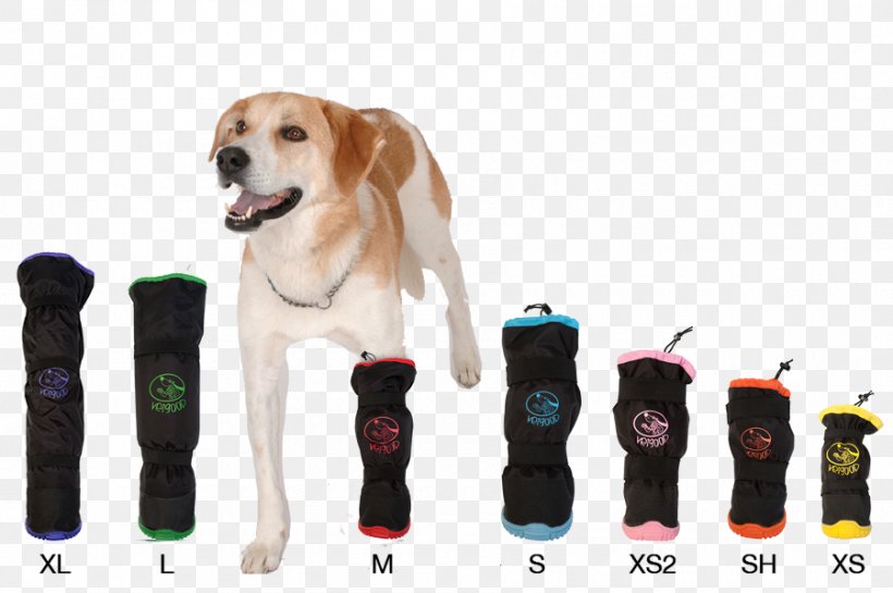 Dog Breed Puppy Leash Companion Dog, PNG, 900x599px, Dog Breed, Breed, Collar, Companion Dog, Dog Download Free