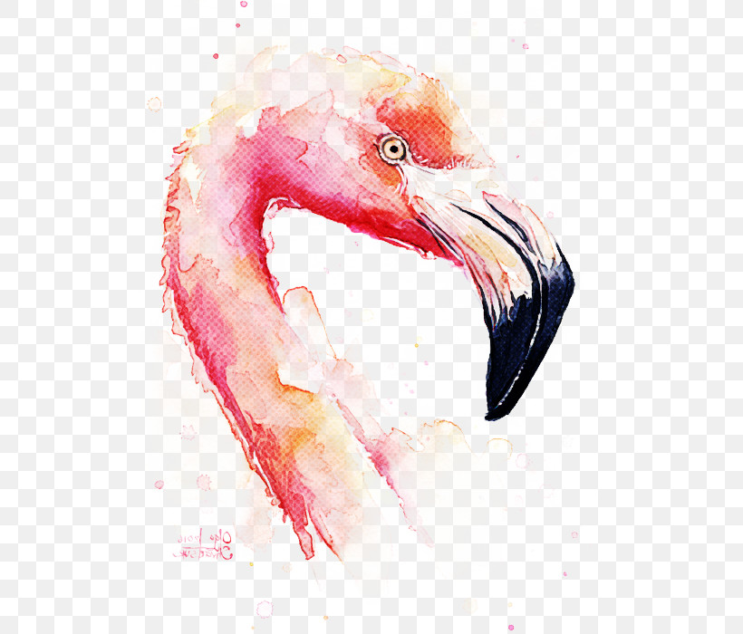 Flamingo, PNG, 583x700px, Bird, Beak, Drawing, Flamingo, Greater Flamingo Download Free