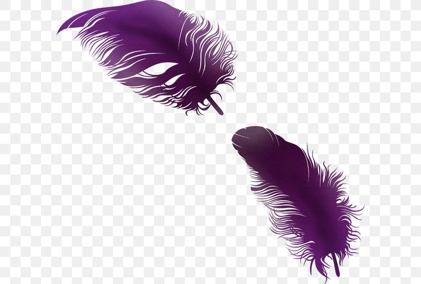 Feather PhotoScape Clip Art, PNG, 600x553px, Feather, Color, Dots Per Inch, Eyelash, Fundal Download Free