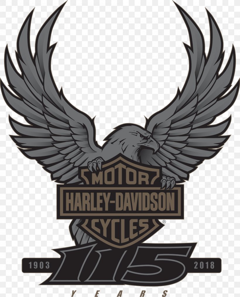 Harley Davidson 115th Anniversary Celebration Wisconsin Harley-Davidson Motorcycle, PNG, 1000x1235px, Harleydavidson, Anniversary, Beak, Bird, Bird Of Prey Download Free