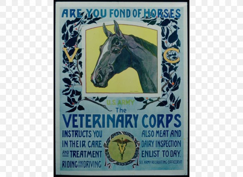 Poster First World War Horse Printing United States, PNG, 980x714px, Poster, Advertising, Art, Brand, Canvas Download Free