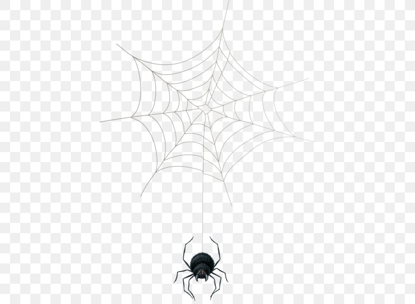 Spider Web Theridiidae Symmetry Point, PNG, 425x600px, Spider Web, Arachnid, Arthropod, Black And White, Invertebrate Download Free