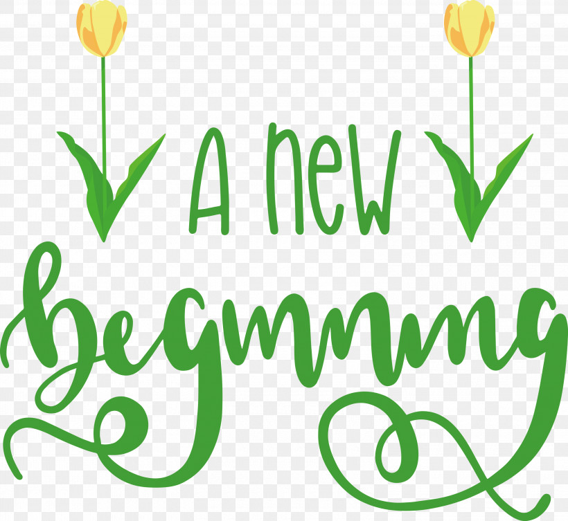 A New Beginning, PNG, 3000x2756px, Amazoncom, Book, Createspace, Diary, Floral Design Download Free