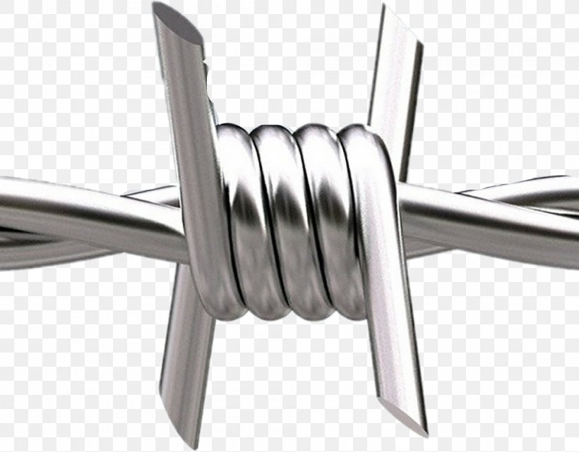 Barbed Wire Steel Galvanization Metal, PNG, 999x781px, Barbed Wire, Agricultural Fencing, Barbed Tape, Chainlink Fencing, Coating Download Free