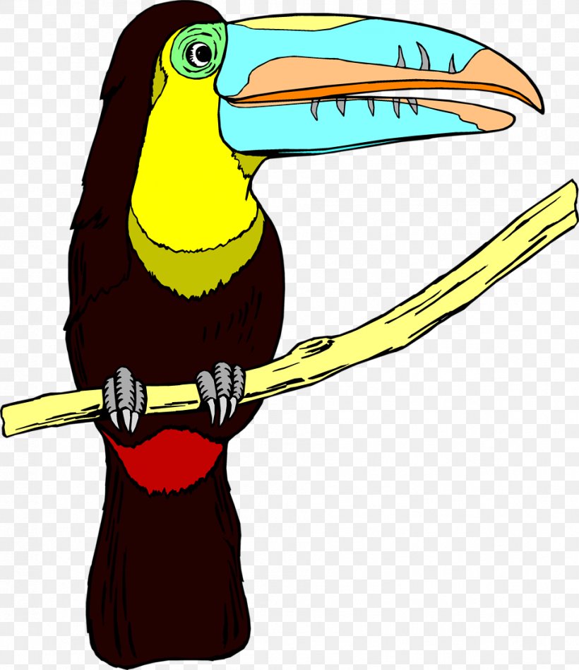 Bird Toucan Desktop Wallpaper Clip Art, PNG, 958x1108px, Bird, Beak, Fauna, Piciformes, Stock Photography Download Free