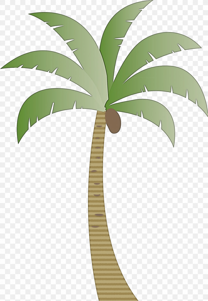 Palm Trees, PNG, 2072x2999px, Palm Tree, Archontophoenix Cunninghamiana, Areca Palm, Arecales, Beach Download Free