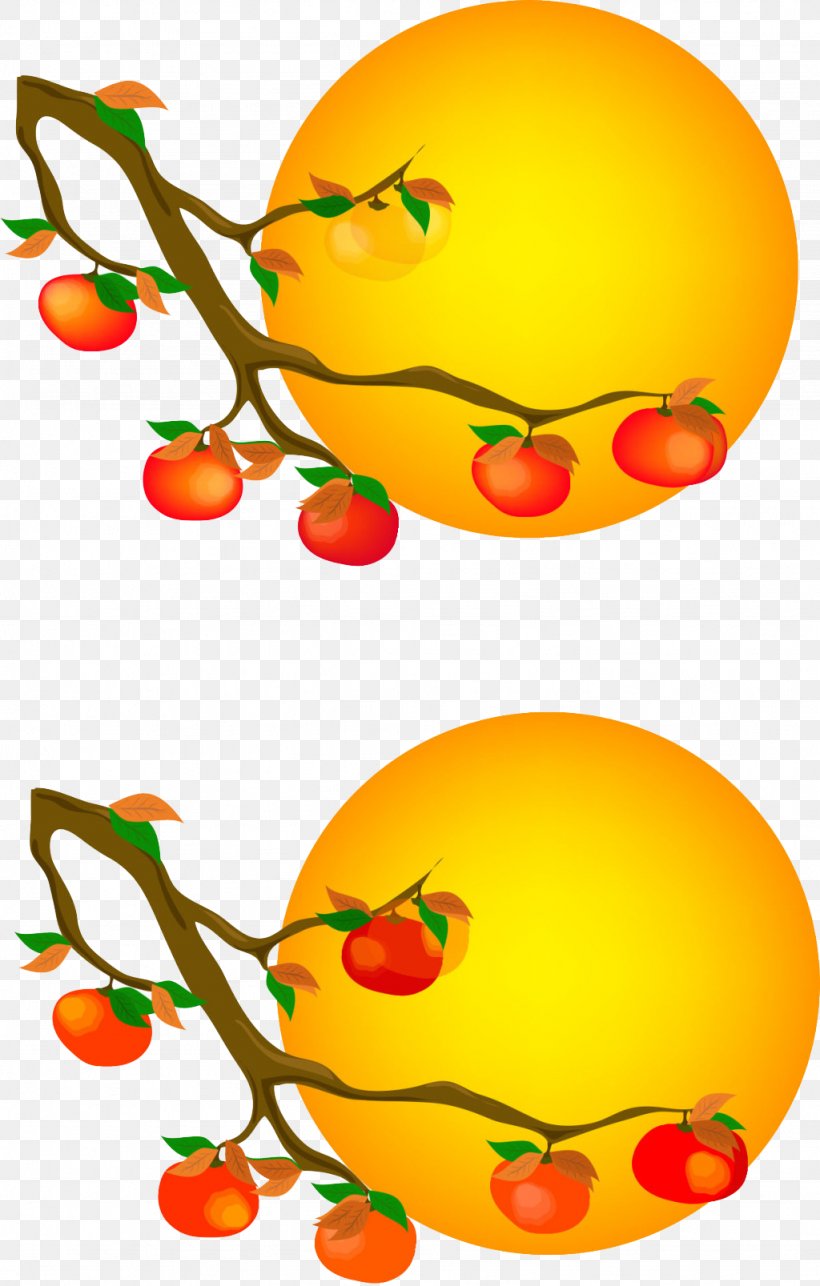 Persimmon Circle, PNG, 1024x1607px, Persimmon, Apple, Button, Cdr, Citrus Download Free