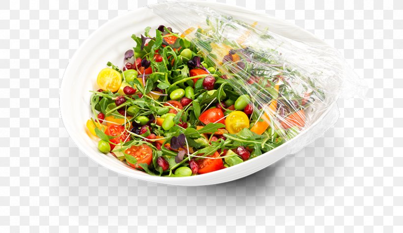 Salad Cling Film Vegetarian Cuisine Food, PNG, 851x493px, Salad, Brand, Cling Film, Diet, Diet Food Download Free