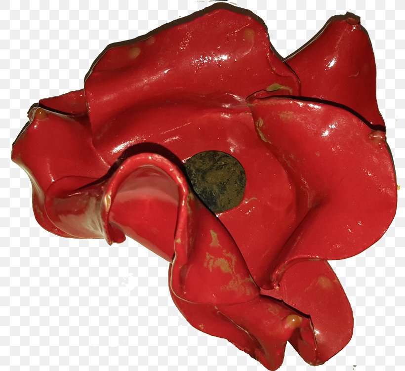 Blood Swept Lands And Seas Of Red Tower Of London Poppy Ceramic Piquillo Pepper, PNG, 800x751px, Blood Swept Lands And Seas Of Red, Artist, Bell Peppers And Chili Peppers, Capsicum Annuum, Ceramic Download Free
