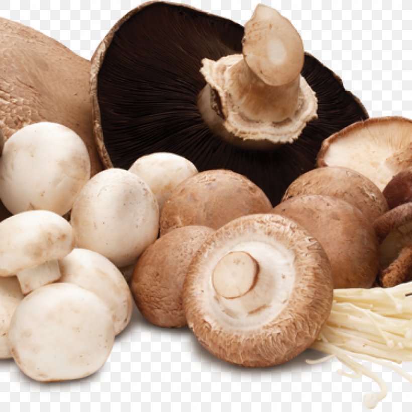 Common Mushroom Edible Mushroom Food Vegetable, PNG, 1024x1024px, Common Mushroom, Agaricaceae, Agaricomycetes, Agaricus Campestris, Champignon Mushroom Download Free