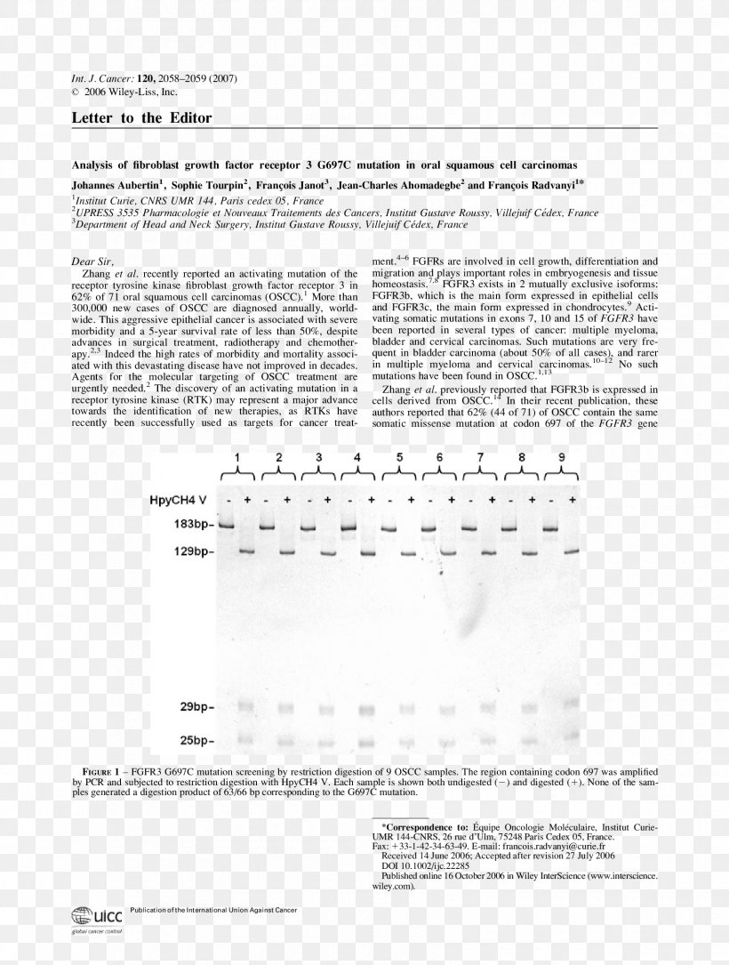 Document Line Angle, PNG, 1700x2250px, Watercolor, Cartoon, Flower, Frame, Heart Download Free