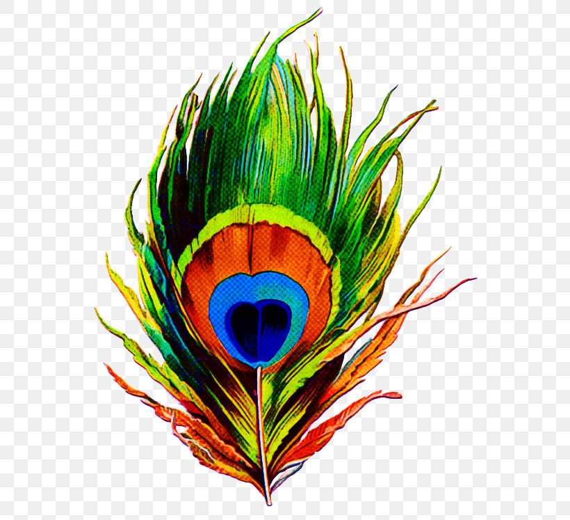 Feather, PNG, 600x747px, Indian Peafowl, Birds, Drawing, Feather, Painting Download Free