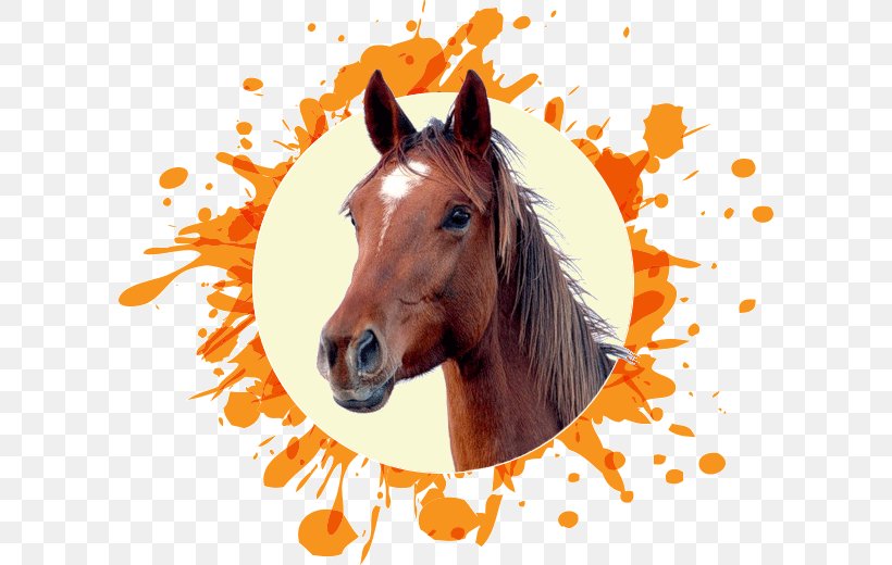 Horse Head Mask Clip Art, PNG, 602x520px, Horse, Animal, Bridle, Colt, Foal Download Free