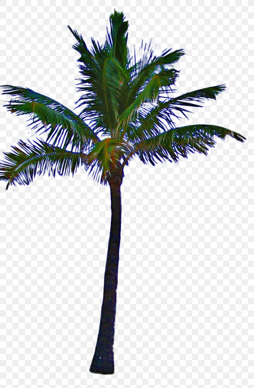 Palm Tree, PNG, 900x1372px, Tree, Arecales, Coconut, Desert Palm, Elaeis Download Free