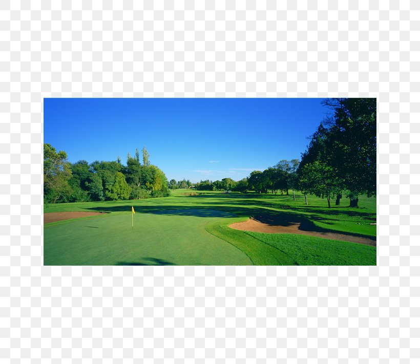 Pretoria Golf Course Zwartkop Country Club, PNG, 650x711px, Pretoria, Akasia, Country Club, Field, Gauteng Download Free