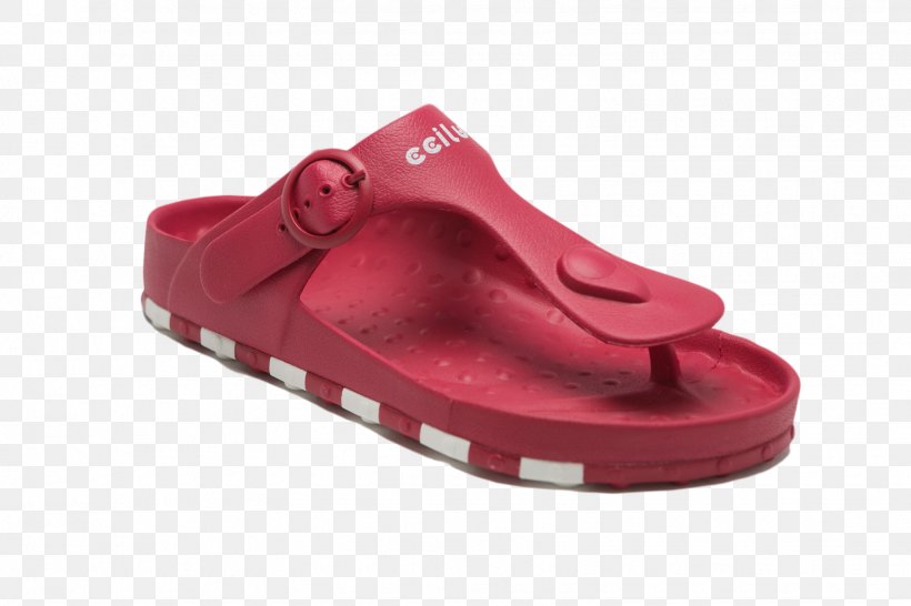 Sandal Shoe Sportie LA Clothing Accessories Footwear, PNG, 1545x1030px, Sandal, Brand, Child, Clothing, Clothing Accessories Download Free