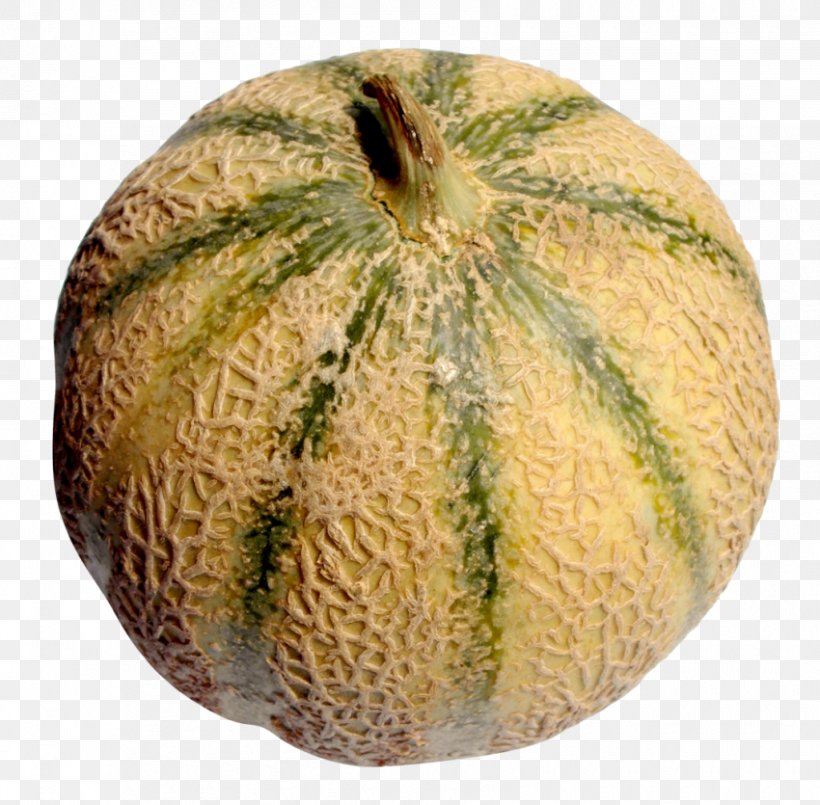 Cantaloupe Melon, PNG, 850x835px, 3d Computer Graphics, Cantaloupe, Commodity, Computer Graphics, Cucumber Gourd And Melon Family Download Free