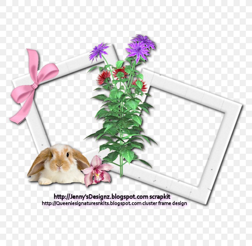 Cut Flowers Floral Design Picture Frames Flowering Plant, PNG, 800x800px, Cut Flowers, Bag, Canvas, Christmas Card, Flora Download Free