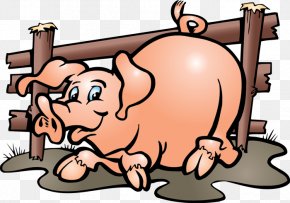 Domestic Pig Suidae Domestic Animal Cat Embroidery PNG