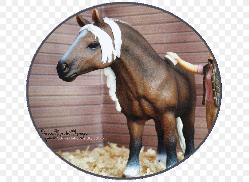 Fell Pony Foal Mustang Lipizzan, PNG, 659x600px, Pony, Bridle, Equestrian, Equestrian Centre, Fell Pony Download Free