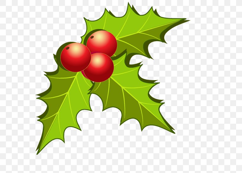 Fruit Leaf Christmas Clip Art, PNG, 627x587px, Fruit, Aquifoliaceae, Aquifoliales, Art, Auglis Download Free