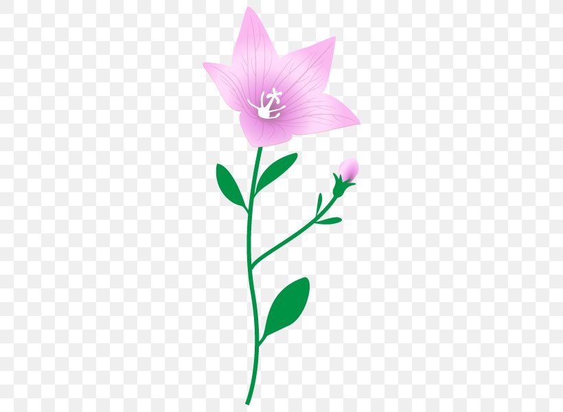 Rose Family Clip Art Herbaceous Plant Plant Stem, PNG, 600x600px, Rose Family, Computer, Flora, Flower, Flowering Plant Download Free
