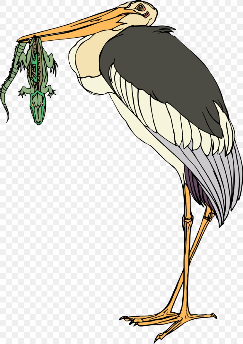 Stork Bird Clip Art Illustration Crane, PNG, 848x1200px, Stork, Beak, Bird, Ciconiiformes, Crane Download Free