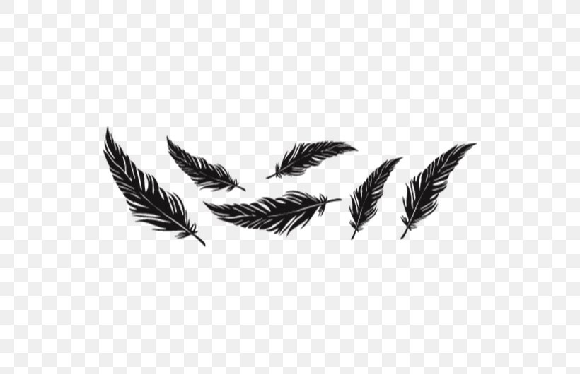 Tattoo Feather Bird Image Idea, PNG, 530x530px, Tattoo, Abziehtattoo, Bird, Black And White, Body Piercing Download Free
