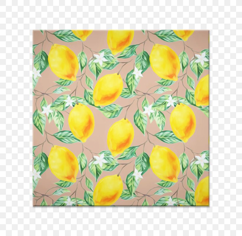 83 Oranges Freight Transport Petal Flower, PNG, 800x800px, 83 Oranges, Bedroom, Child, Fiscal Year, Flower Download Free