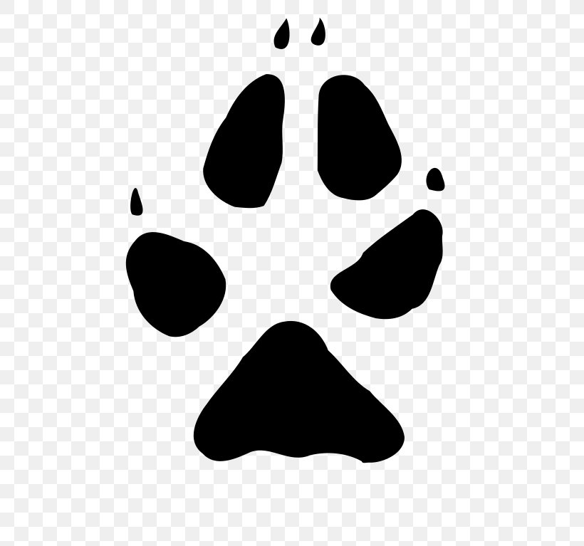 Arctic Fox Red Fox Paw Fennec Fox, PNG, 532x767px, Arctic Fox, Animal, Animal Track, Black, Black And White Download Free