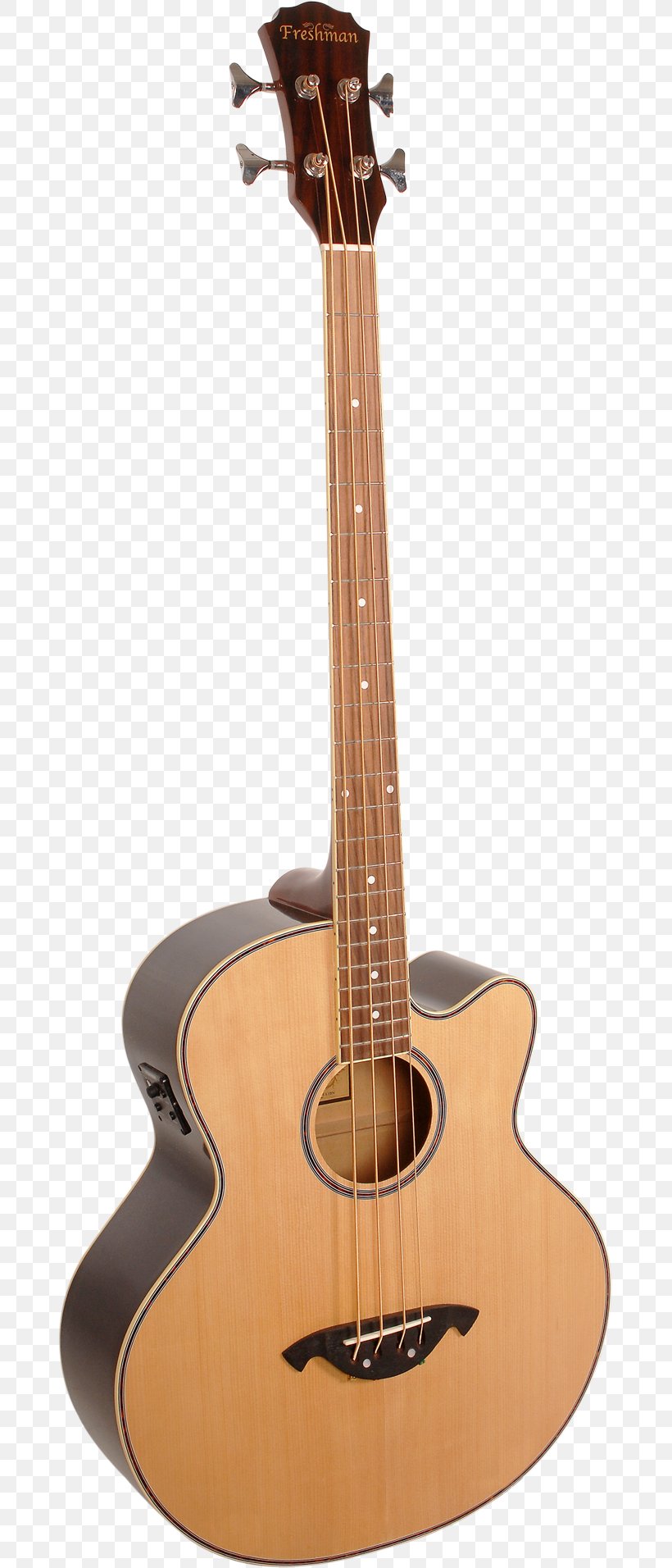 Epiphone Rivoli Acoustic Bass Guitar Acoustic Guitar, PNG, 677x1912px, Watercolor, Cartoon, Flower, Frame, Heart Download Free
