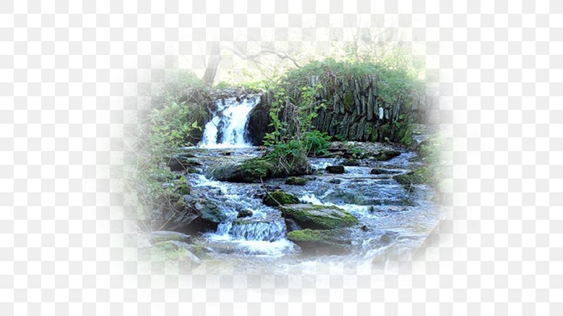 Nature Reserve Courage Water Resources Anjinho Da Guarda Waterfall, PNG, 592x460px, Nature Reserve, Courage, Force, International Women S Day, Landscape Download Free