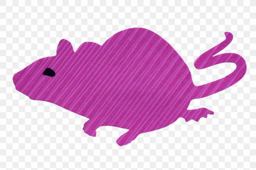 Rat Foam Image Skimboarding Traction, PNG, 3840x2560px, Rat, Com, Foam, Magenta, Mammal Download Free