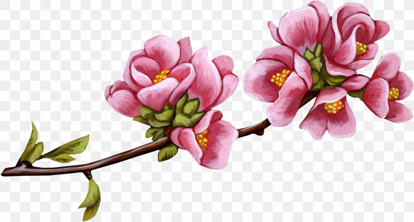 Rose Flower Bird Blog Clip Art, PNG, 1600x859px, Rose, Bird, Blog, Blossom, Branch Download Free