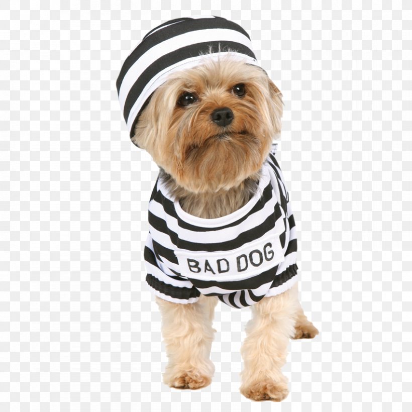 Yorkshire Terrier Bulldog Puppy Beagle Halloween Costume, PNG, 850x850px, Yorkshire Terrier, Bark, Beagle, Breed, Bulldog Download Free